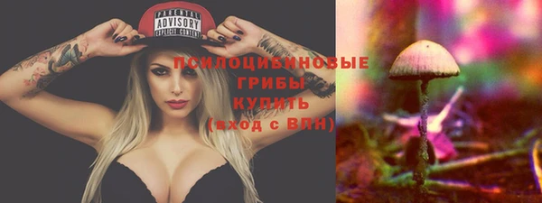 дурь Липки