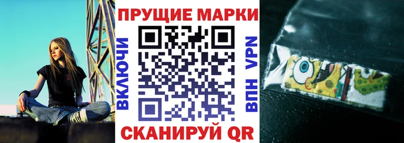 blacksprut ССЫЛКА  Курчатов  Марки 25I-NBOMe 1500мкг  как найти наркотики 