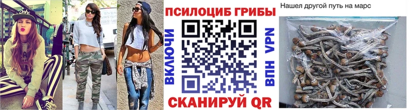 закладка  Курчатов  Галлюциногенные грибы GOLDEN TEACHER 